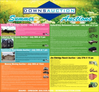 Summer Auctions Downs Realty Downs Auction Eagle Id