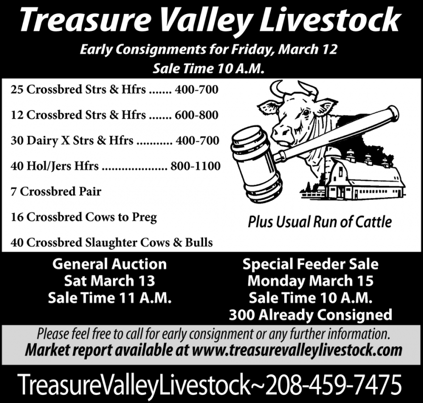 Special Feeder Sale, Treasure Valley Livestock, Caldwell, ID